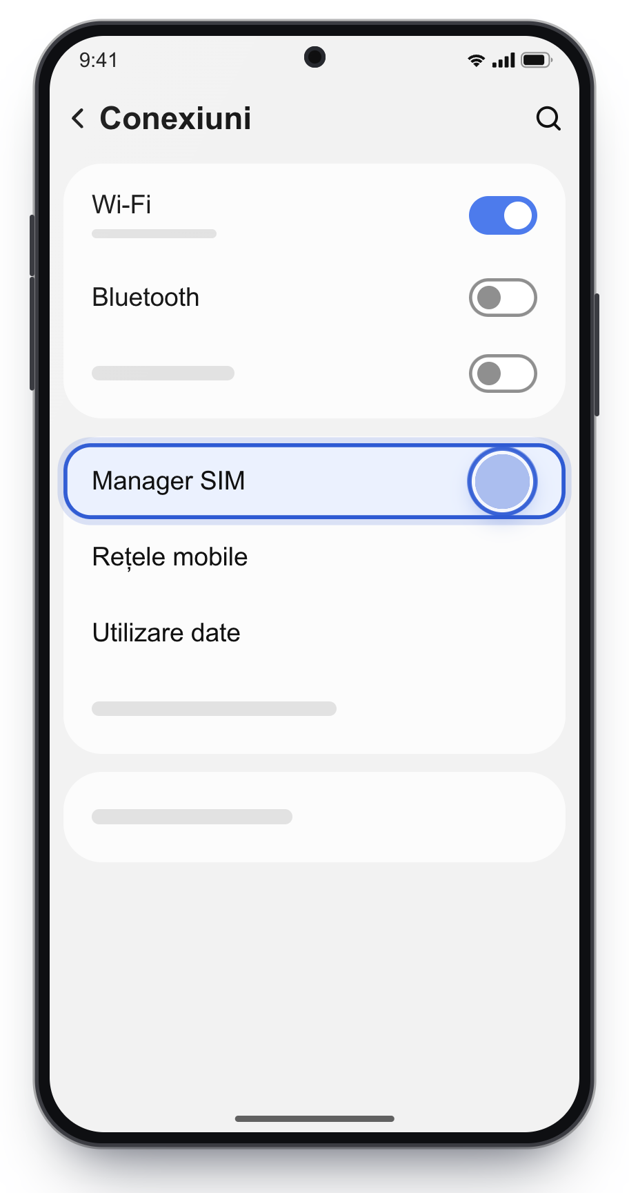 Meniul Conexiuni, cu Manager SIM încadrat.
